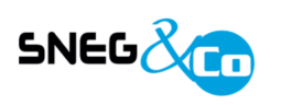 SNEG & Co