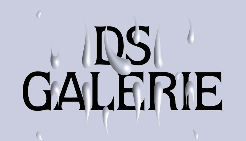 DS Galerie